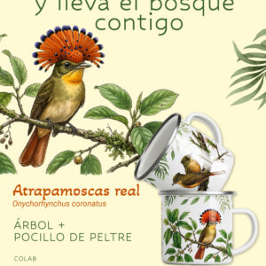 Árbol + Pocillo peltre Kaukitá Mosquitero real